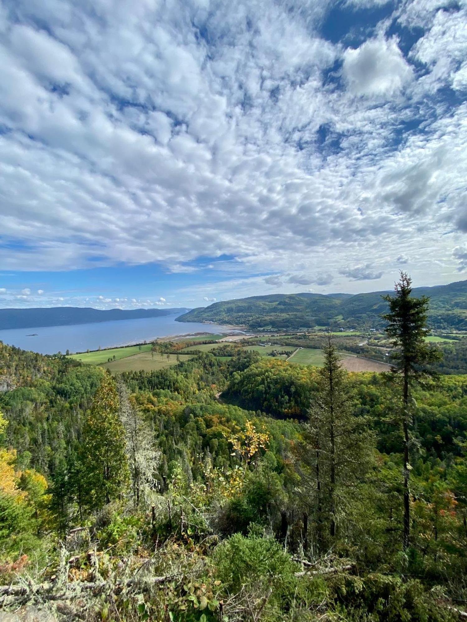 Belle Maison Avec Vue Sur La Riviere LʼAnse-Saint-Jean Dış mekan fotoğraf